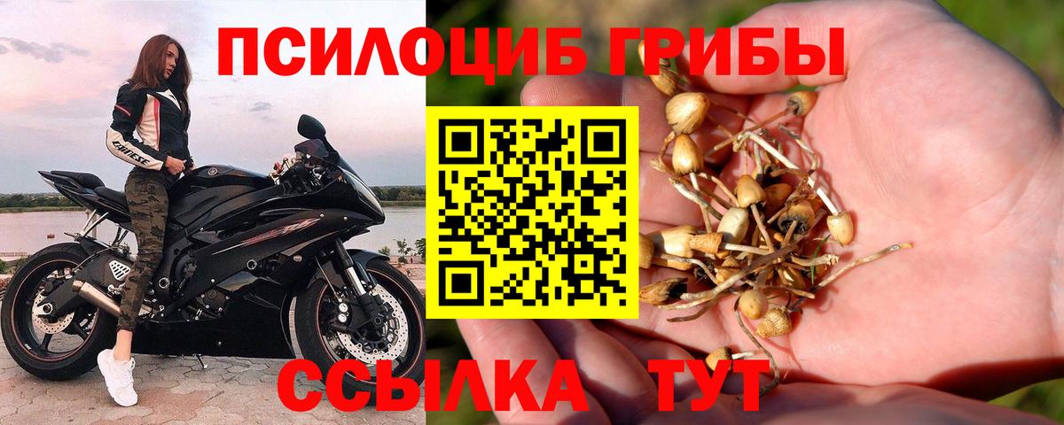 Псилоцибиновые грибы MAGIC MUSHROOMS Омск