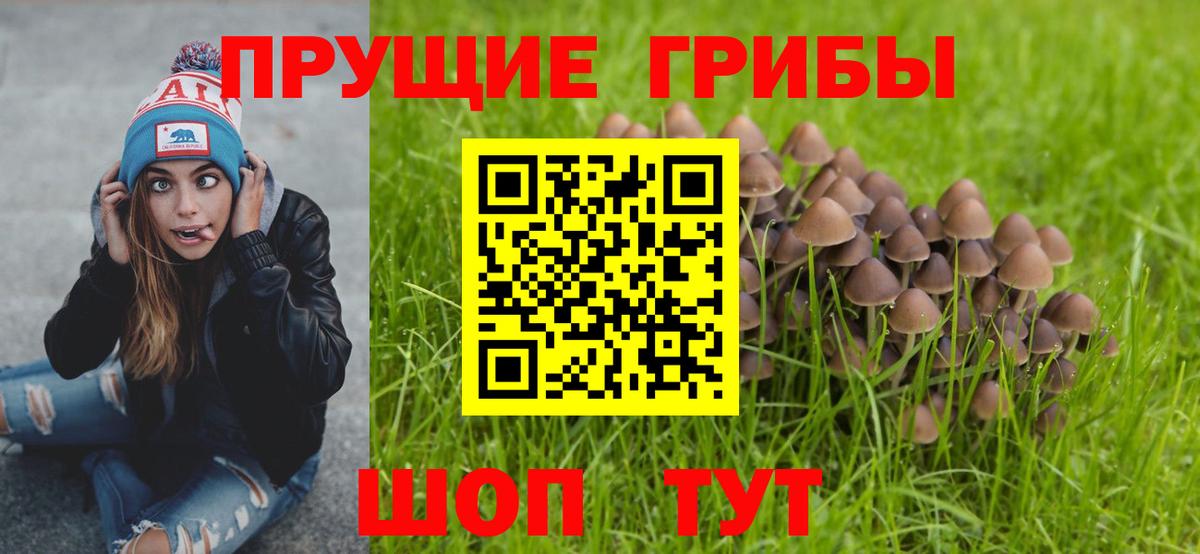 Омск  купить наркоту  Вход с VPN  Псилоцибиновые грибы прущие грибы  Галлюциногенные грибы Psilocybine cubensis 